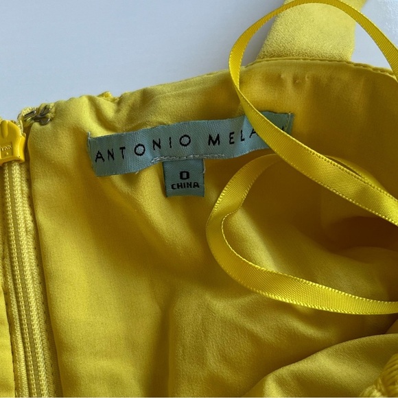 ANTONIO MELANI Lace Formal floral Dress - Picture 8 of 9